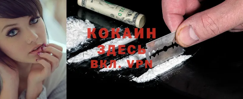 darknet телеграм  Харовск  КОКАИН Fish Scale  закладка 